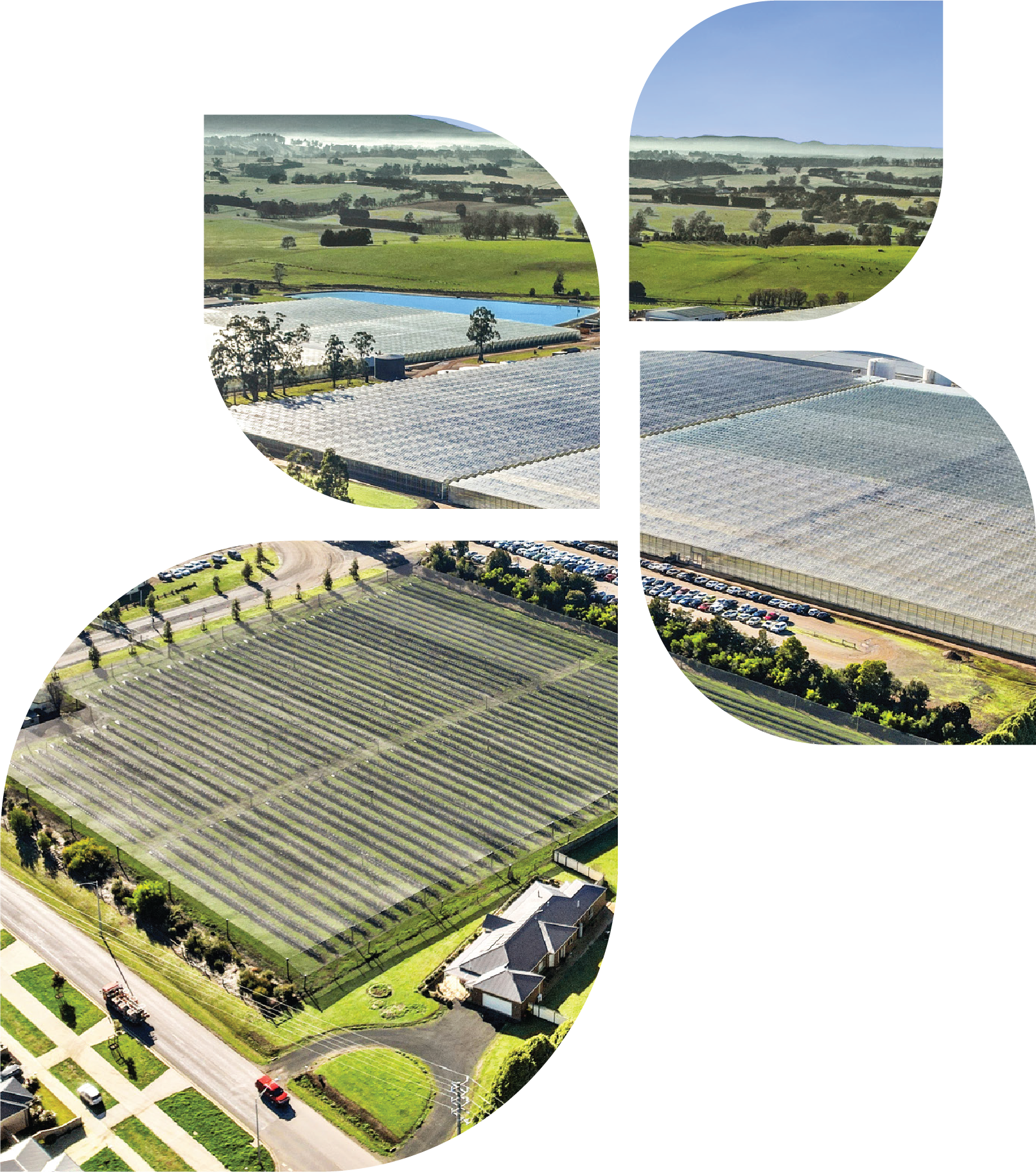 Aerial of glasshouse