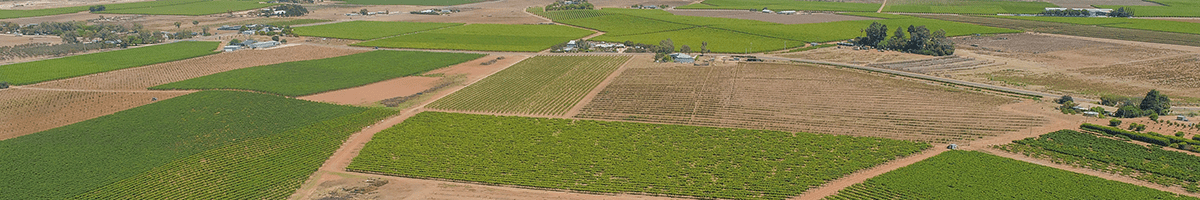 Discover Agricultural Investment Funds in Australia